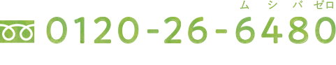 0120-26-6480