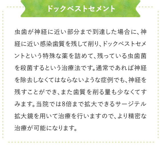 ドックベストセメント